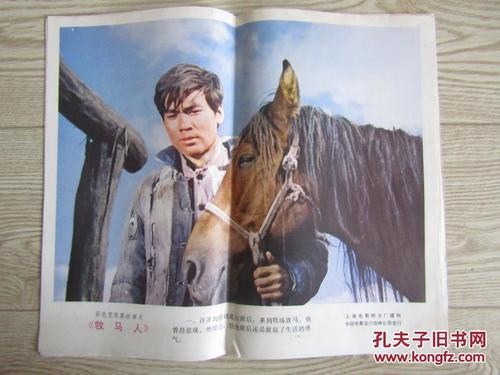 里昂第三大学本科毕业证